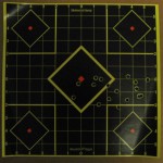 Target from 25 and 50 yards from the open sight Marlin